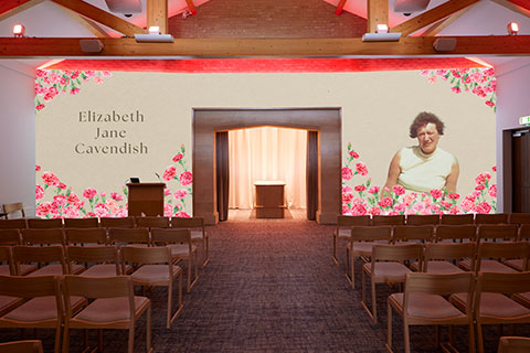 Carnations Projection Image